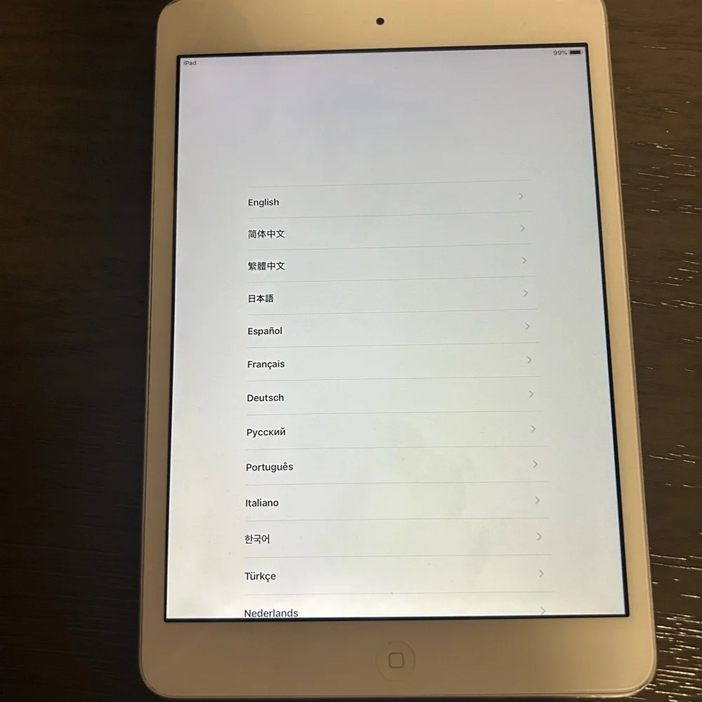 iPad mini 2